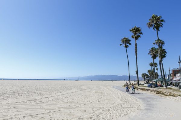Venice beach in Los Angeles