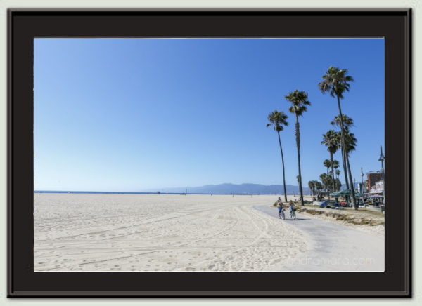 Venice beach in Los Angeles